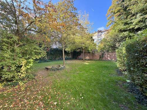 Gemeinschaftsgarten - 