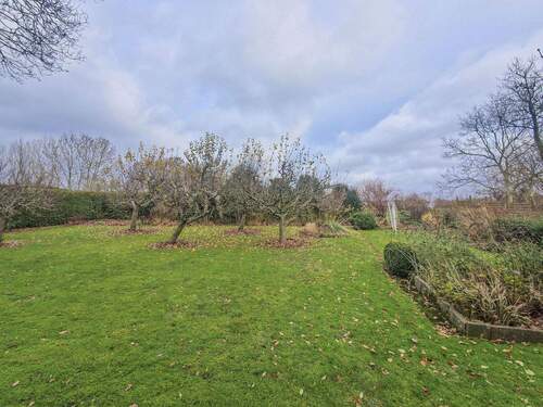 Garten mit Obstbaumbestand - 