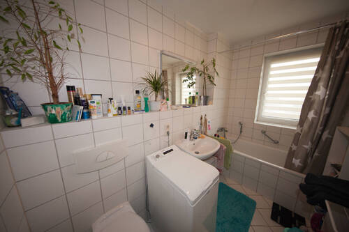 20240417-IMG_8465.jpg - 