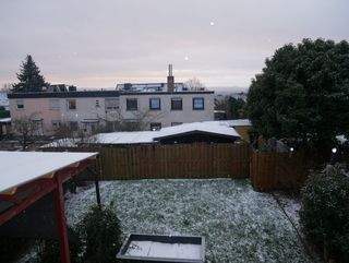 Aussicht in den Garten - 