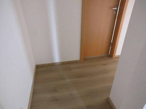 DSCI6291 - 