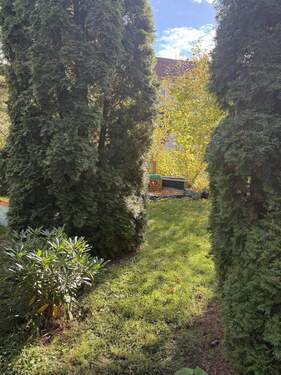 Garten - 