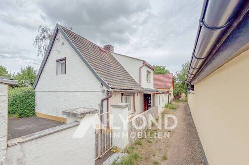 Vorn - 