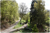 Bild18 - 