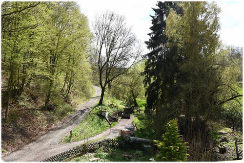 Bild18 - 