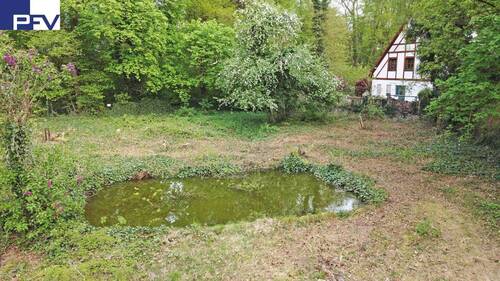 Blick von der Einfahrt - 