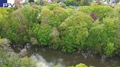 Erste Reihe an der Rednitz - 