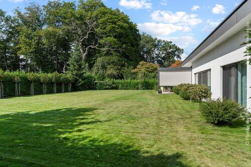 Hohen Hecken gewähren Privatsphäre. - 