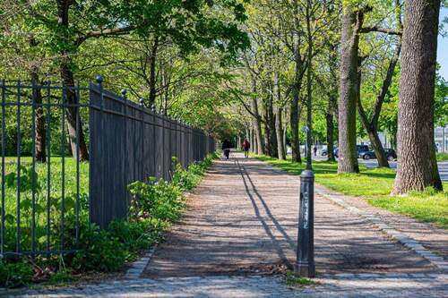 Volkspark_April2024_ASE_5567 - 