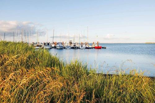 Marina - 