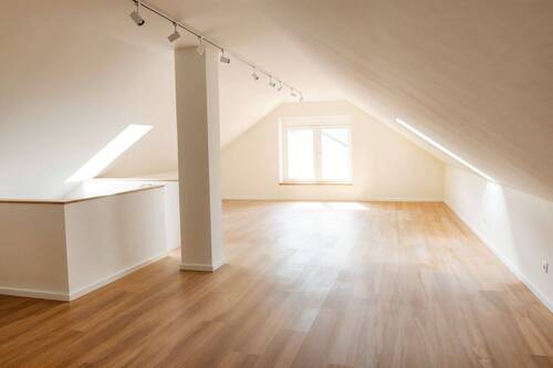 Zimmer DG - 