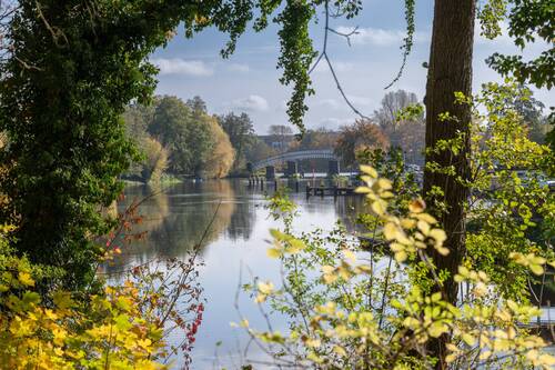 Treidelbruecke_tgd1513 - 