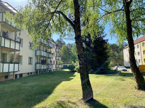 Entspanntes Umfeld im Kiesweg - 