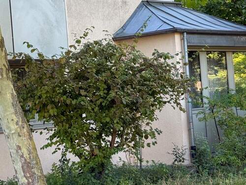 Blick zum Kinderzimmer - 