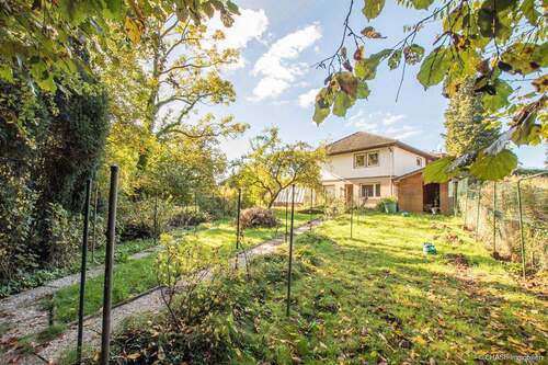 Gartenansicht von Grundstücksecke - 