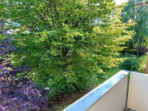 Blick von ihrem Balkon - 
