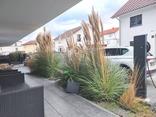 Terrasse - 