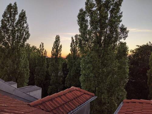 Blick Richtung Norden - 