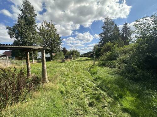 Grundstück - Grundstück in Neuenkirchen zu verkaufen