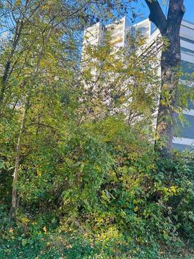 Bild 1 - Über den Dächern von Bad Homburg ETW 3 Zimmer