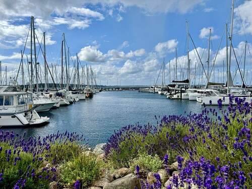 Hafen - Mehrfamilienhaus, Wohnhaus in Laboe zum Kaufen