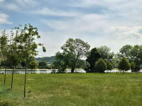 Rhein direkt hinter dem Haus - 