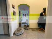 Wohnungsflur - 