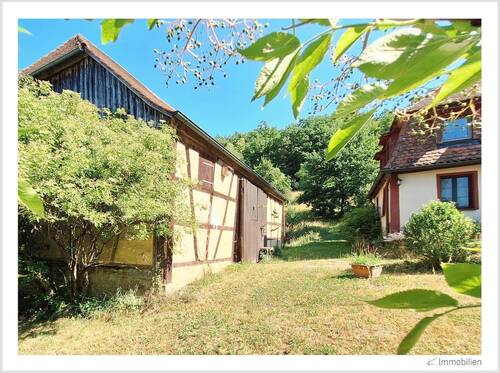 147-2025 Scheune Holunder.jpg - 6 Zimmer Mehrfamilienhaus, Wohnhaus in Oberdachstetten