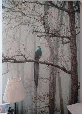 Impressionen - 