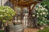 Schuppen - 