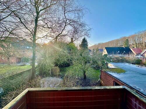 Blick in den Garten - 