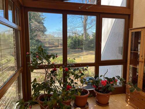 20260306_100511560_iOS.jpg - 