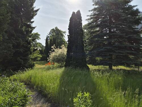Gartenansicht - 