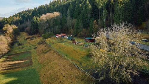 Wiese und Stall - 8 Zimmer Mehrfamilienhaus, Wohnhaus zum Kaufen in Horb am Neckar
