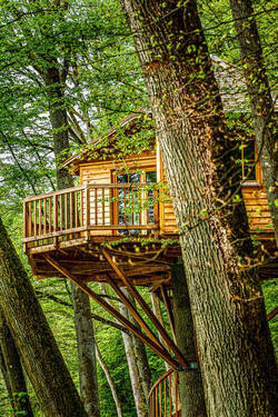 Baumhaus 