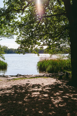 Summter See - Traumgrundstück am Summter See – Ihr Platz für ein neues Zuhause