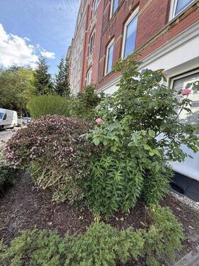 Bild 29 - 