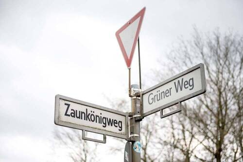 Zaunkönig Weg_Schild - 