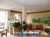 Café - 