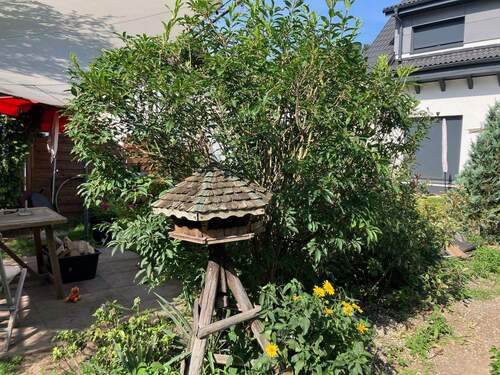 Garten - Einfamilienhaus mit 113,60 m² in Berlin zum Kaufen