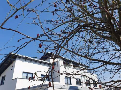 Ansicht Süd - * ERSTBEZUG * - Gemütliches REIHEN-HAUS mit DACHTERRASSE