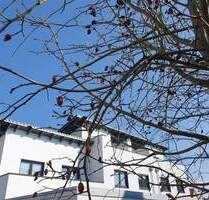 * ERSTBEZUG * - Gemütliches REIHEN-HAUS mit DACHTERRASSE - Waldkraiburg