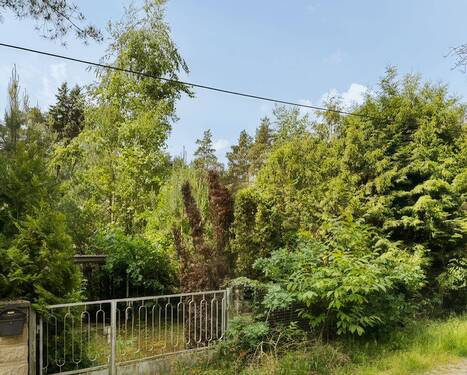 Bild 10 - 
