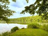Möllensee - Grundstück in Grünheide (Mark) zum Kaufen
