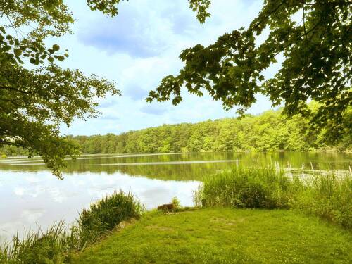 Möllensee - Grundstück in Grünheide (Mark) zum Kaufen