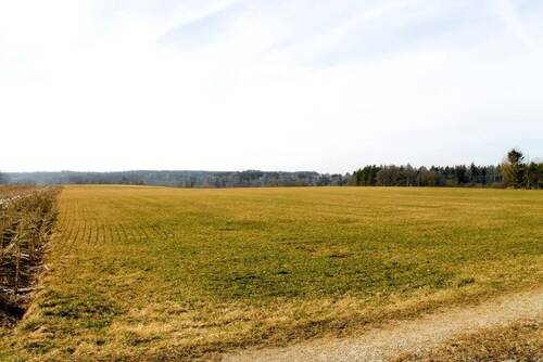 Ansicht 1 - LANDWIRTSCHAFTLICHE WIESENFLÄCHE in IDYLLISCHER LAGE nahe LECH! GEMARKUND MUNDRACHINGGEMEINDE VILGERTSHOFEN