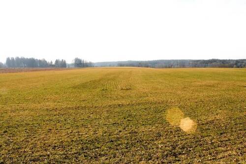 Ansicht 2 - Grundstück zum Kaufen in Mundraching