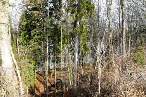 Blick Richtung Lech - 