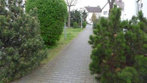 gepflegte Anlage des Hauses - 
