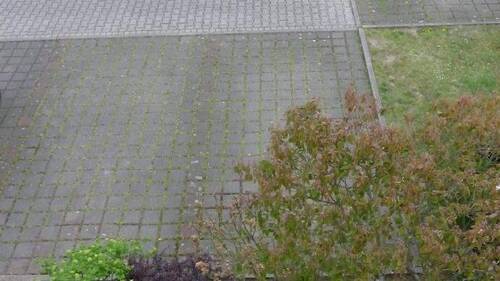 Stellplätze direkt vor dem Hauseingang - 